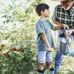 Happy grandfather with grandson watering vegetables in the garden.