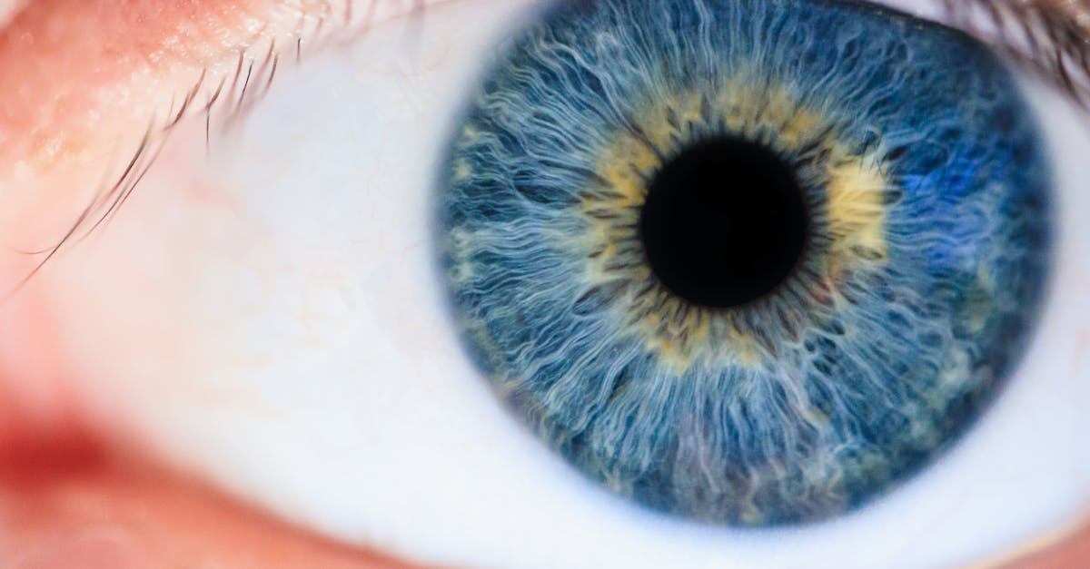 un aperçu fascinant de mon iris en photo !