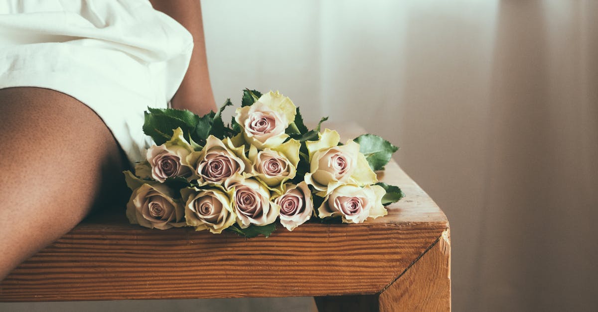 célébrez la saint-valentin avec amour et magie ! découvrez des idées de cadeaux, des activités romantiques et des conseils pour rendre cette journée inoubliable pour votre partenaire. offrez-lui une expérience mémorable et prouvée que l'amour est au rendez-vous.